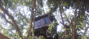 Tree House​ Pai Thailand