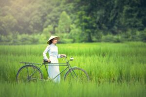 Cycle around Ninh Binh Vietnam