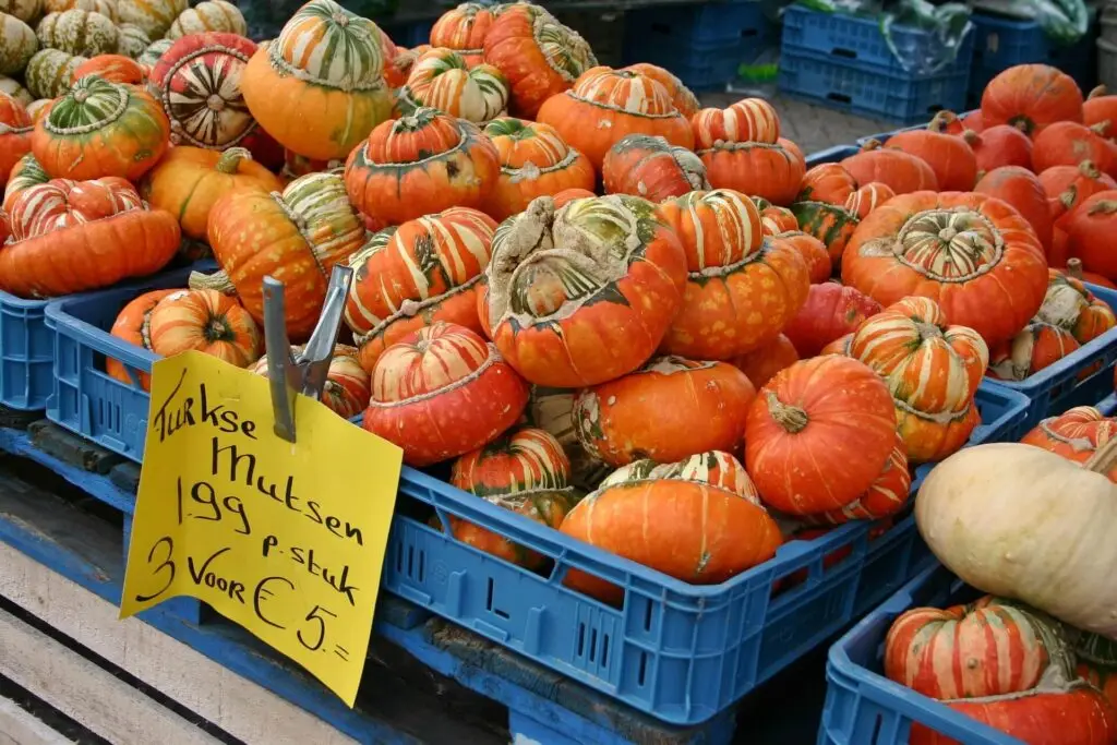 De Boerenmarkt​ Utrecht Netherlands