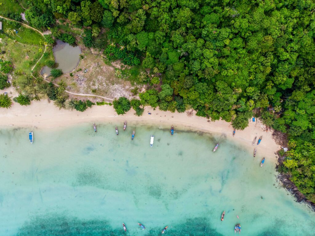 Loh Dalum Beach​ Koh Phi Phi Thailand