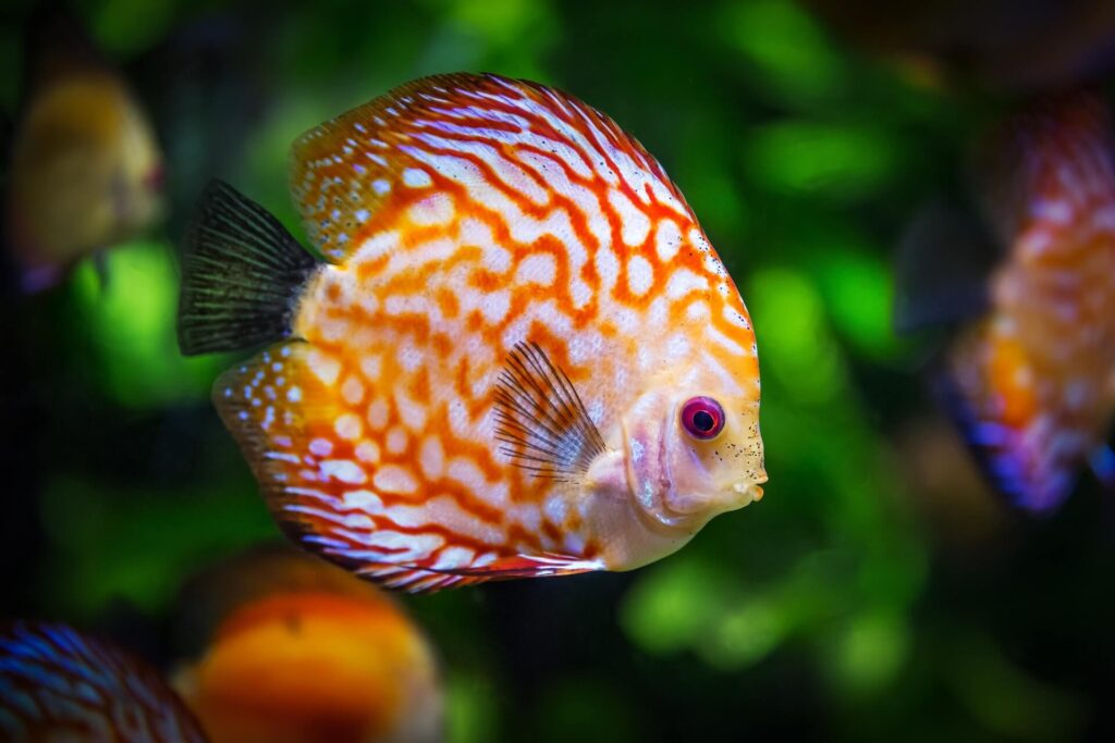 Aquarium San Sebastian​ Spain