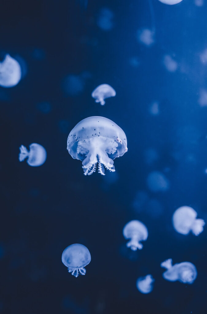 Zaragoza Aquarium​​ Zaragoza Spain